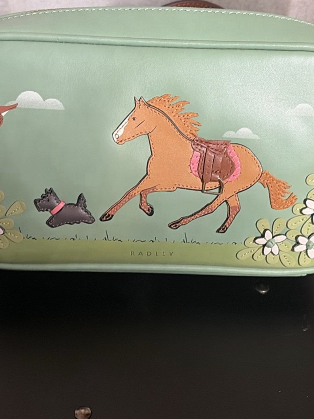 RADLEY LONDON Mint Green Leather Crossbody Bag with Gold Zip